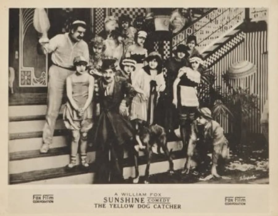 The Yellow Dog Catcher