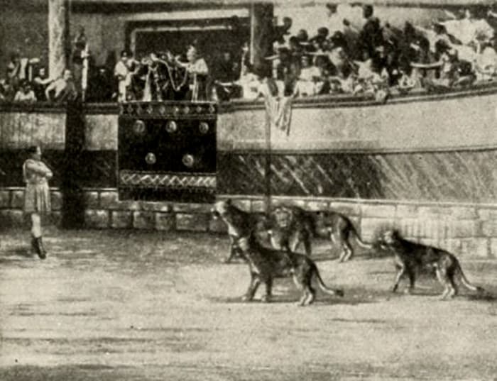 Bar Kochba, the Hero of a Nation photo