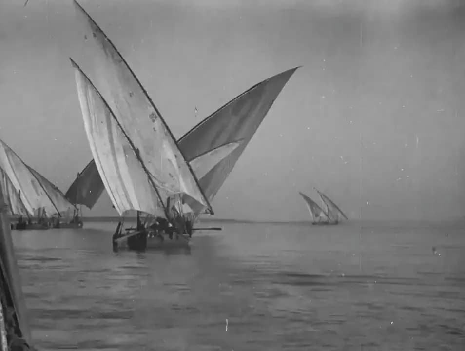 Daily Life in Egypt: Ancient and Modern photo