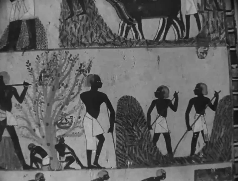 Daily Life in Egypt: Ancient and Modern photo