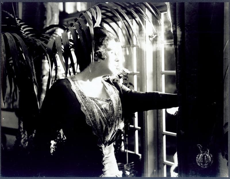 De røvede Kanontegninger photo