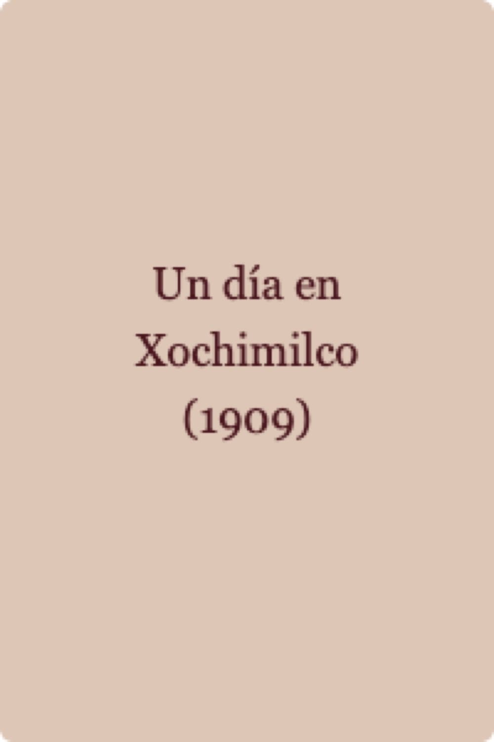 Un día en Xochimilco