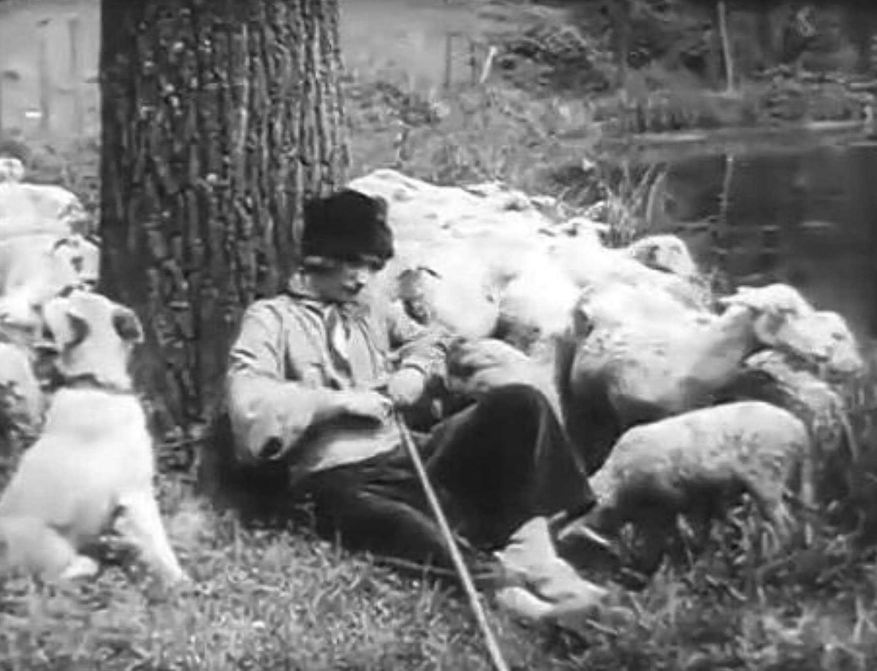 Loyalty poster – Cult Cinema