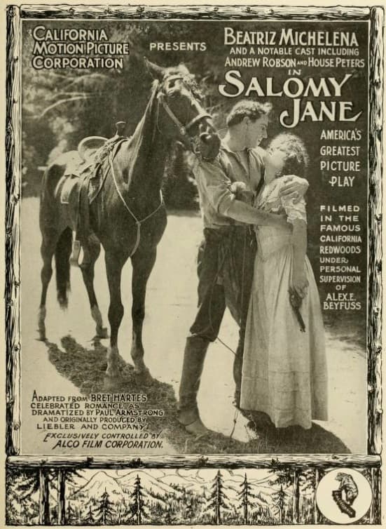 Salomy Jane poster – Cult Cinema
