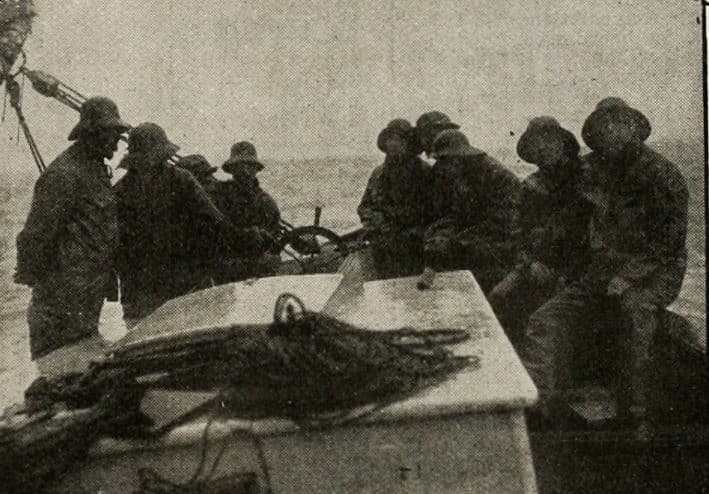 Shore Acres poster – Cult Cinema