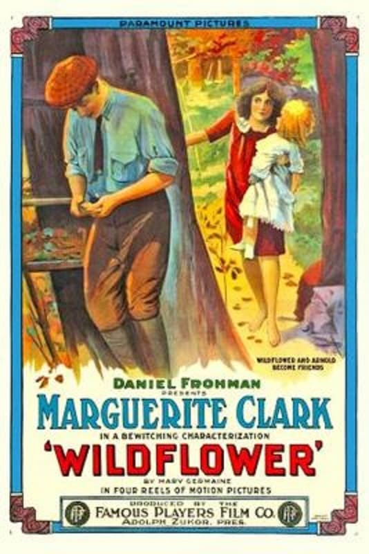 Wildflower poster – Cult Cinema