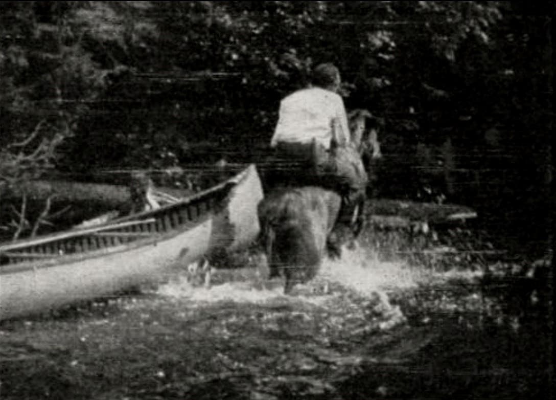 American Game Trails