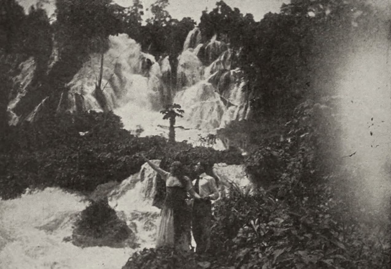 The Flame of Passion (1915) film backdrop