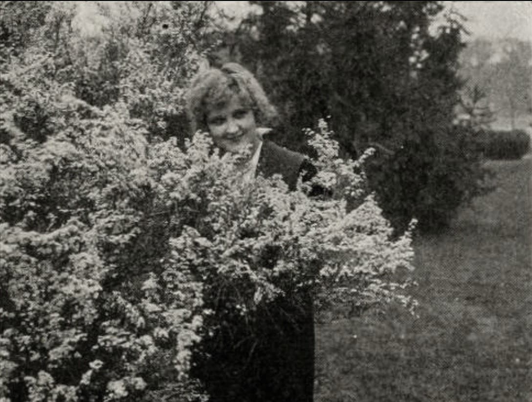 Gambier's Advocate poster – Cult Cinema