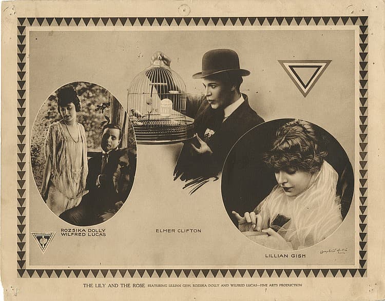 The Lily and the Rose (1915) film backdrop