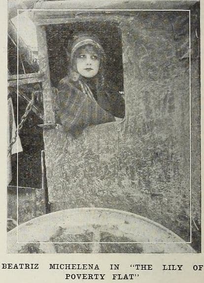 The Lily of Poverty Flat