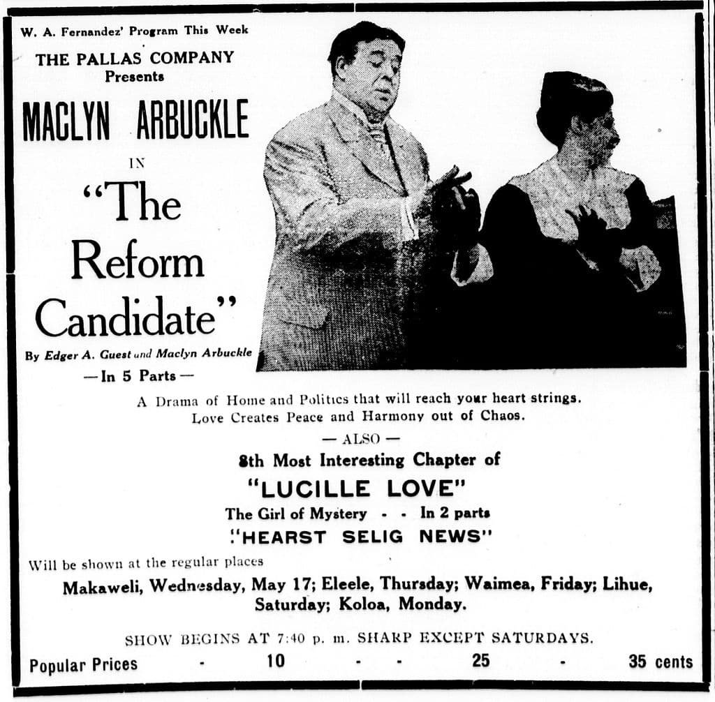 The Reform Candidate poster