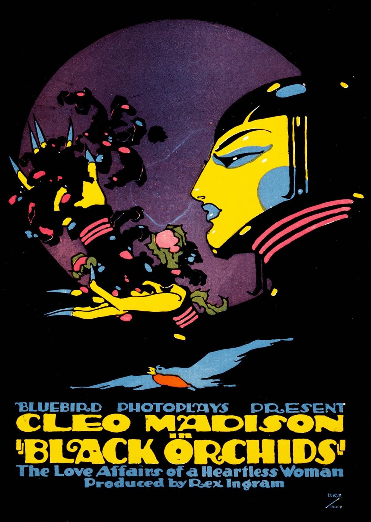 Black Orchids poster – Cult Cinema