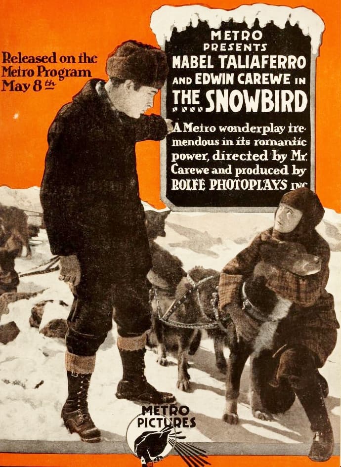The Snowbird poster – Cult Cinema