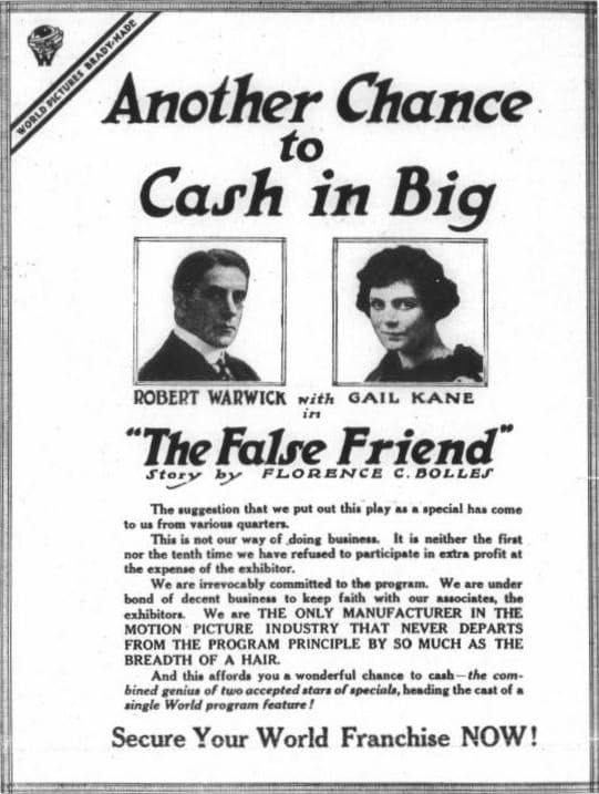 The False Friend poster