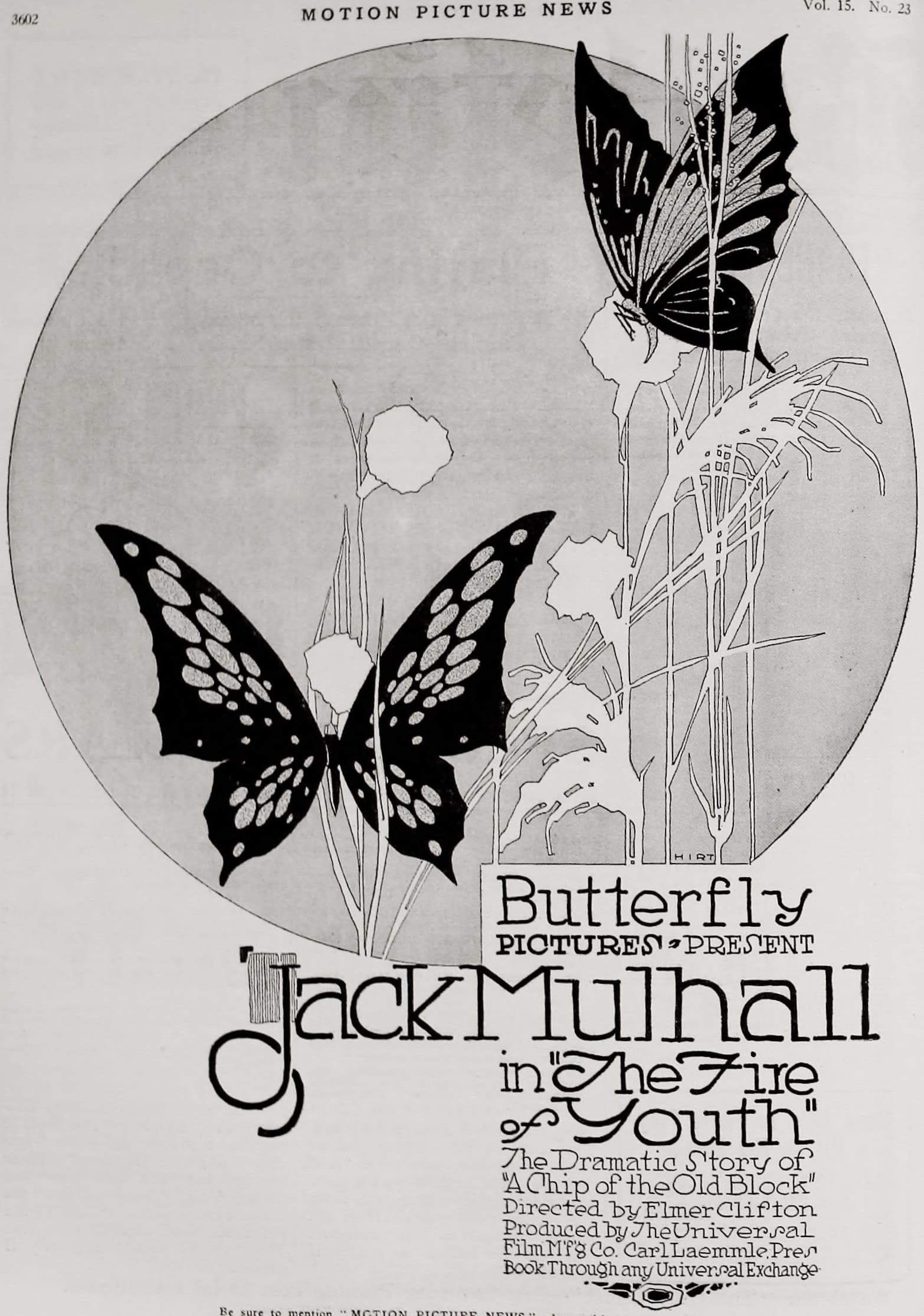 The Flame of Youth poster