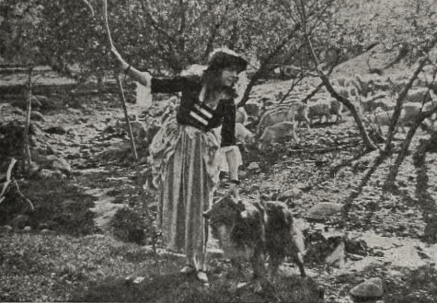 Madame Bo-Peep poster