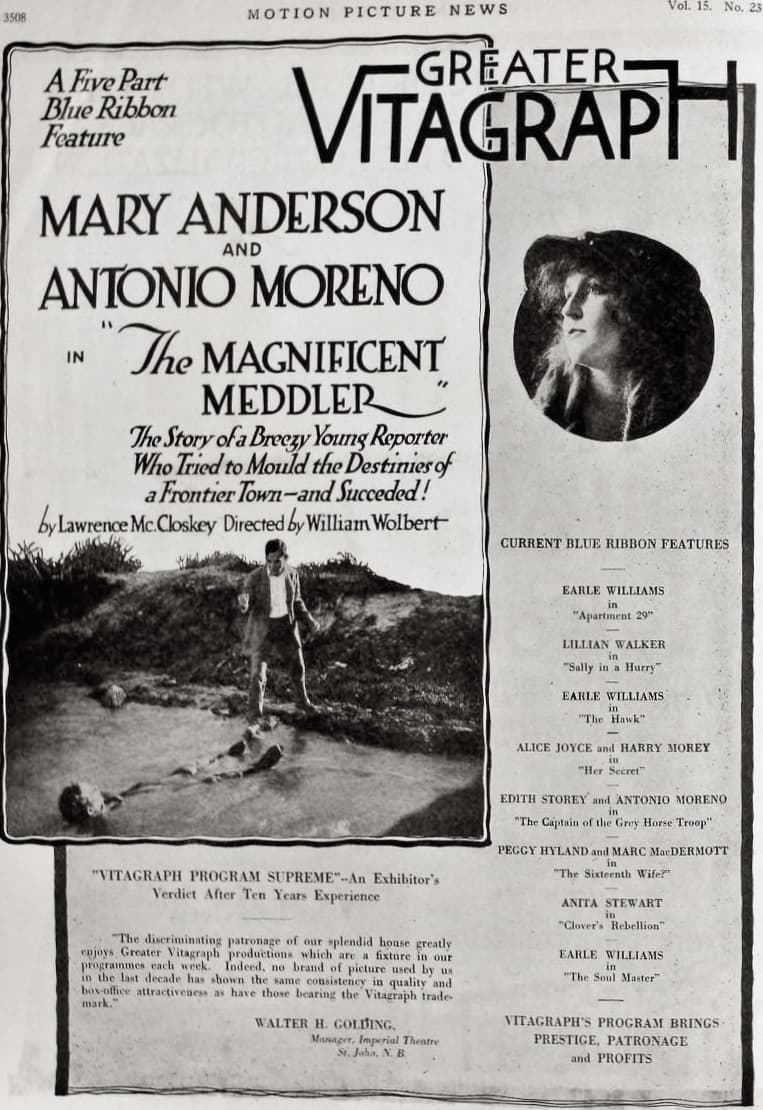 The Magnificent Meddler poster