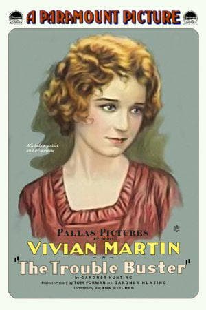 The Trouble Buster poster – Cult Cinema