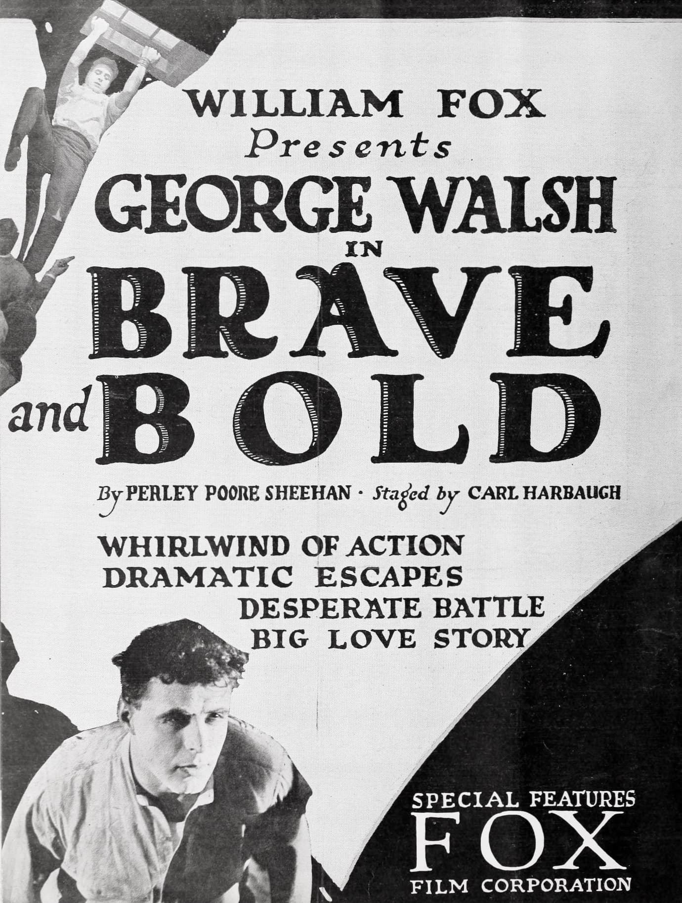 Brave and Bold poster