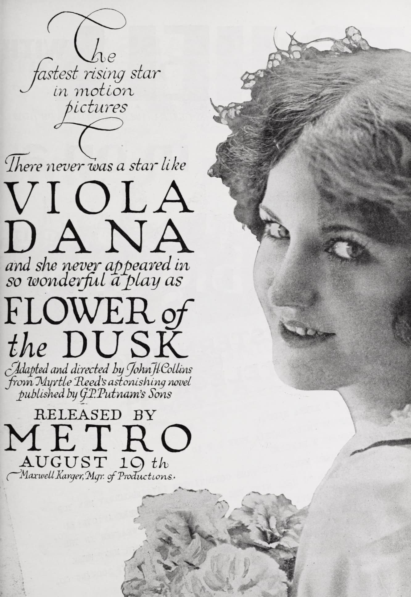Flower of the Dusk poster
