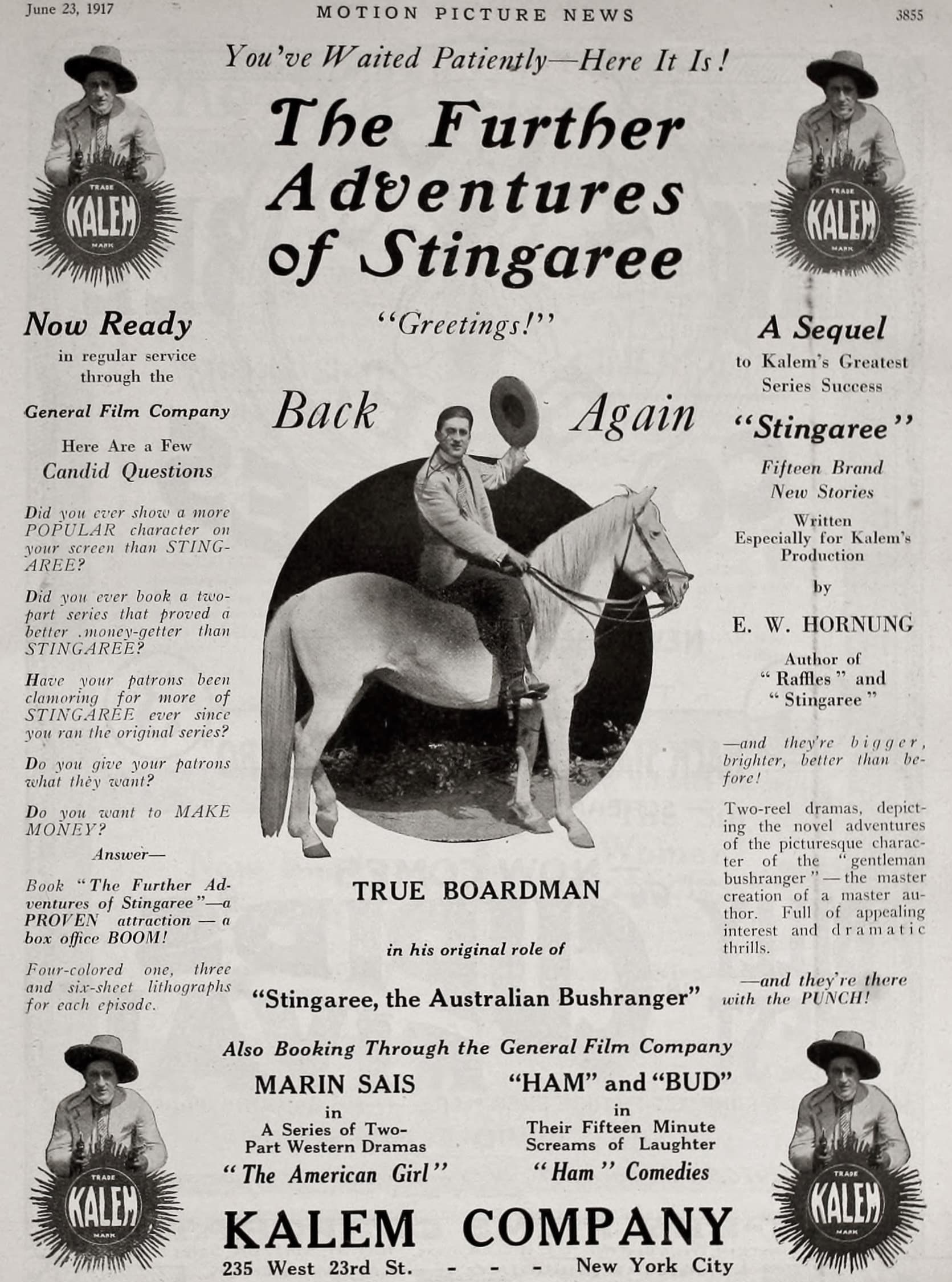 The Further Adventures of Stingaree poster