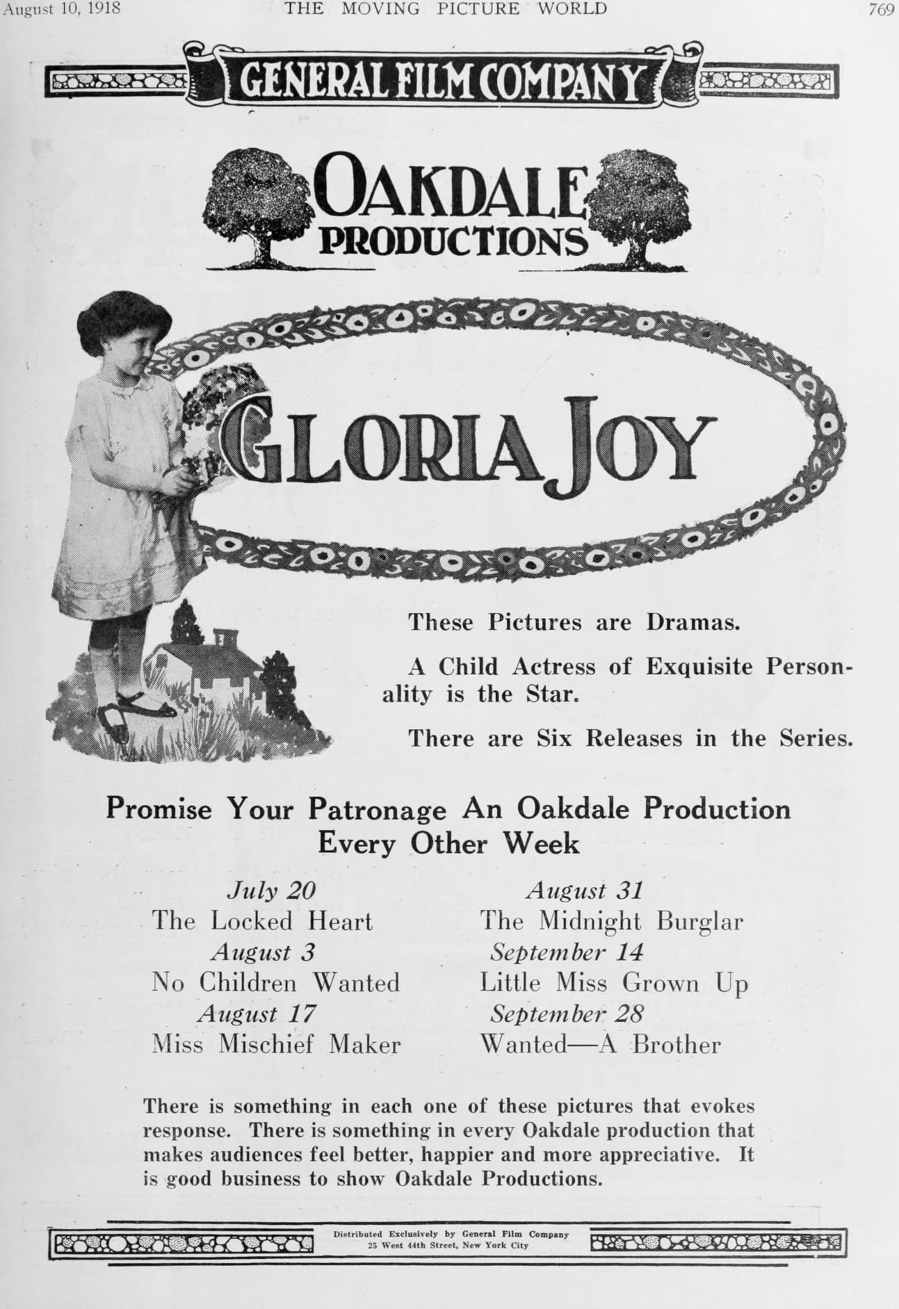 The Midnight Burglar poster