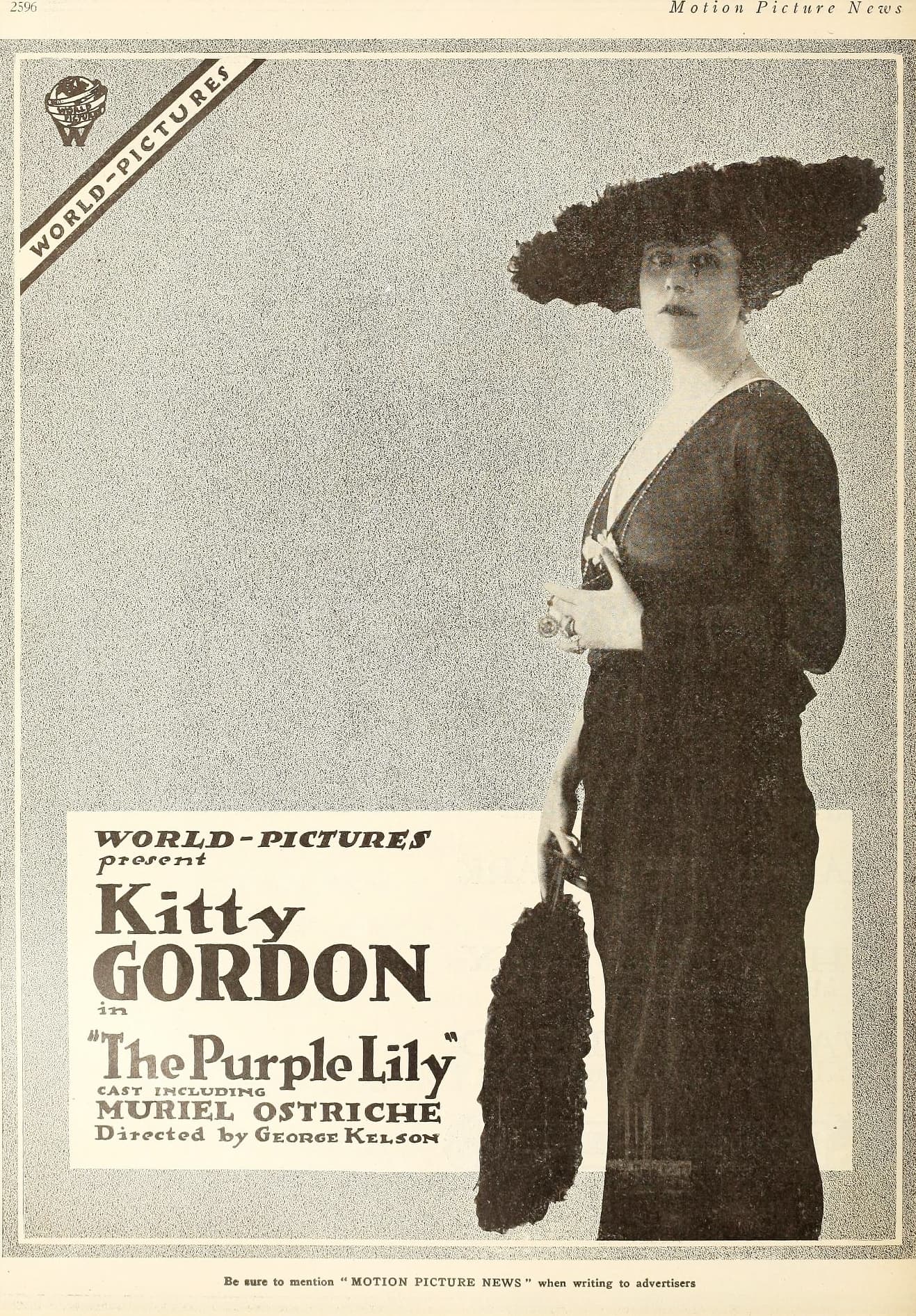 The Purple Lily poster