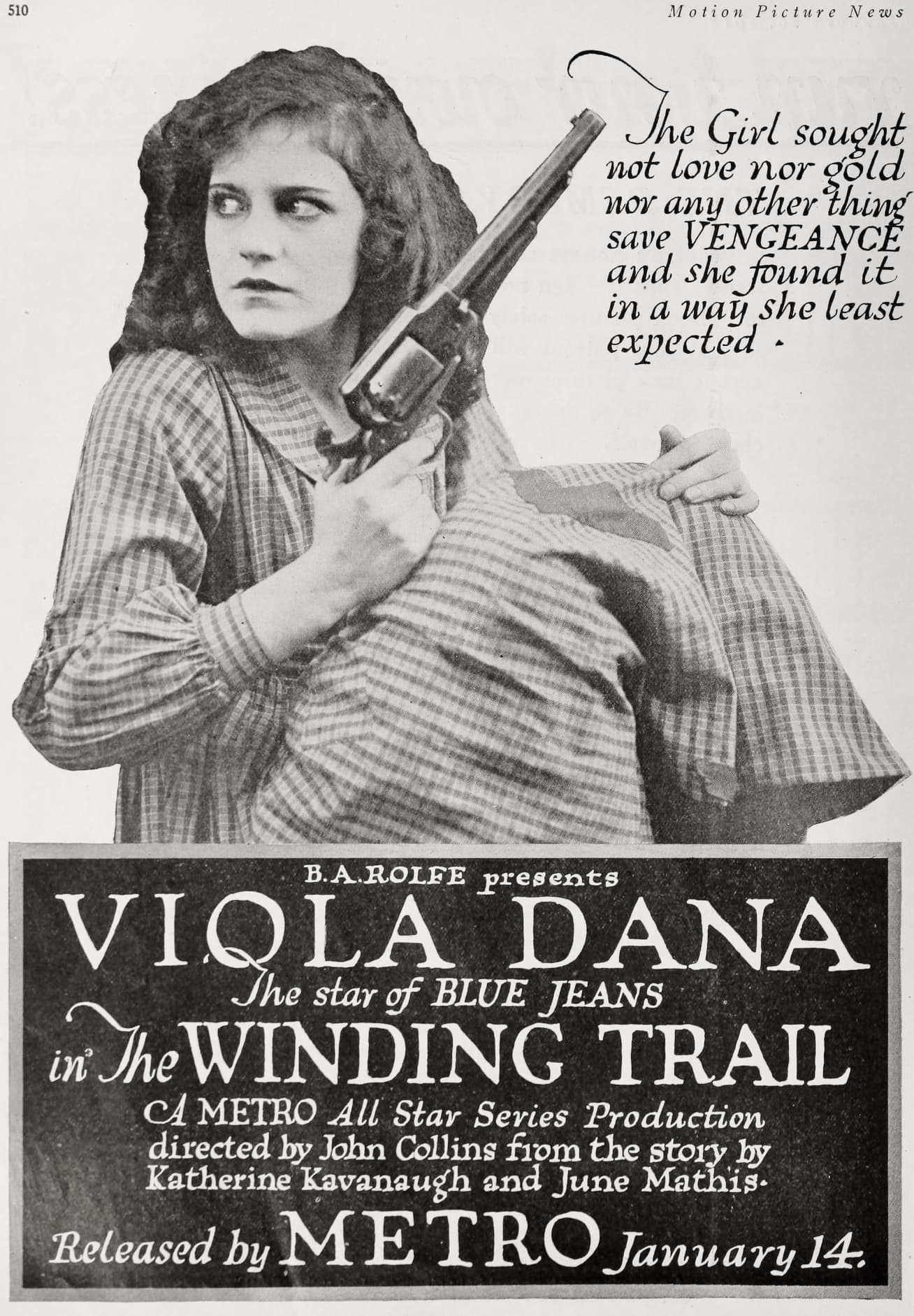 The Winding Trail poster