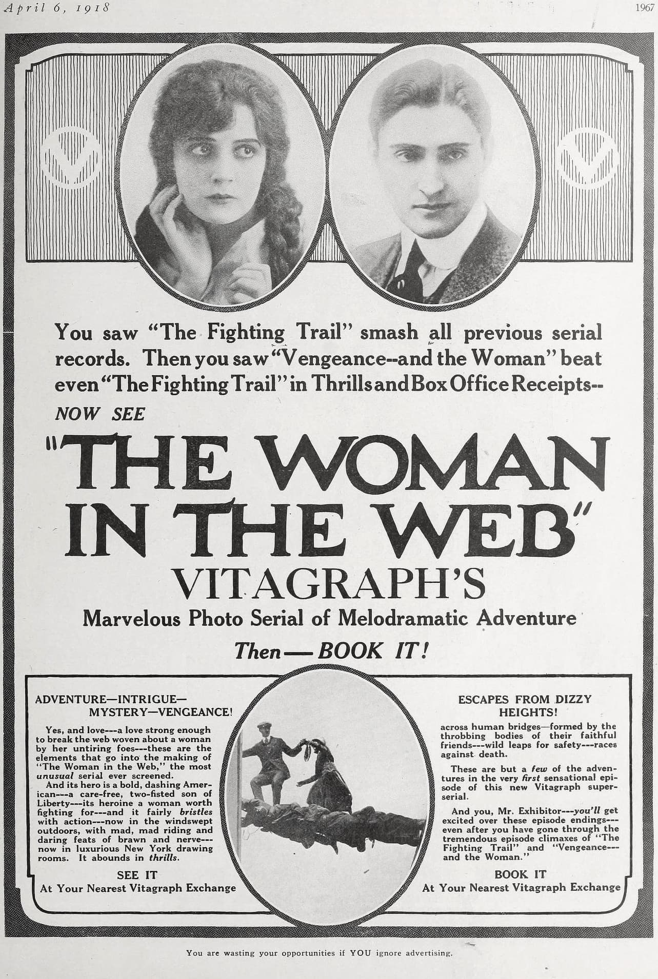 The Woman in the Web poster