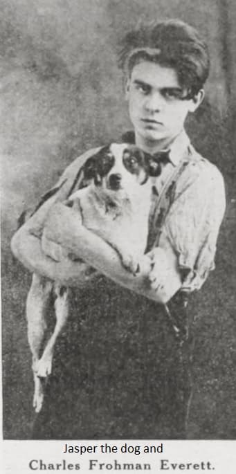 Young America poster – Cult Cinema