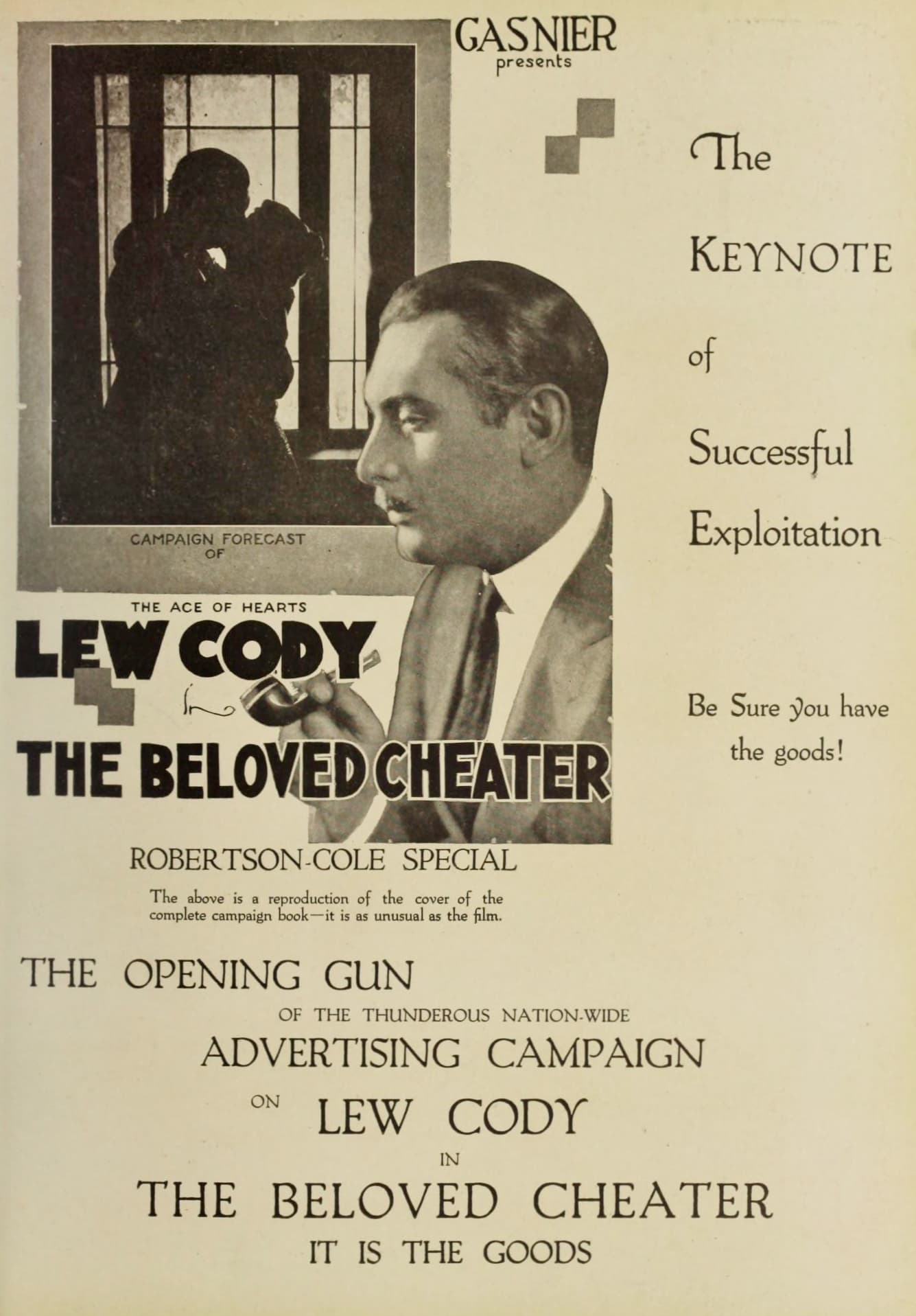 The Beloved Cheater poster