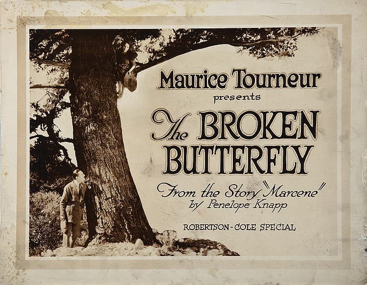 The Broken Butterfly poster – Cult Cinema