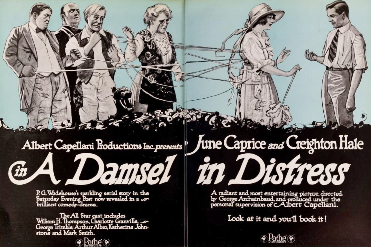 A Damsel in Distress (1919) film backdrop