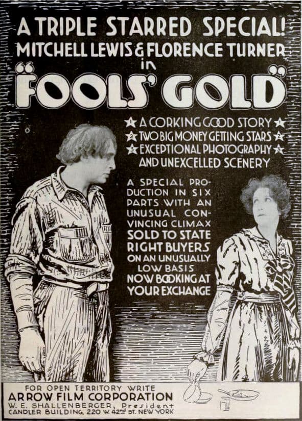 Fool's Gold poster