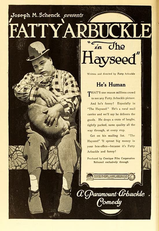 The Hayseed poster