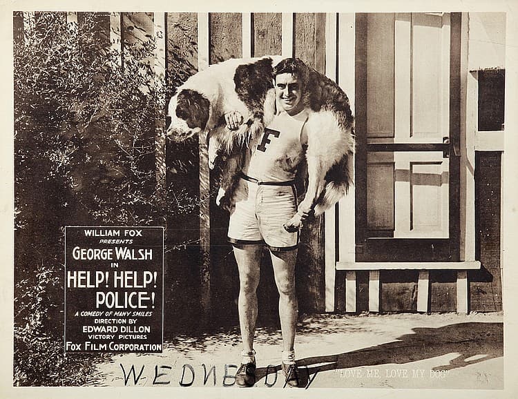 Help! Help! Police! poster