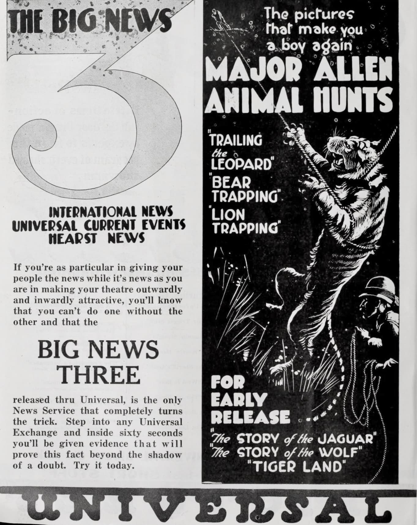 Lion Trapping poster – Cult Cinema