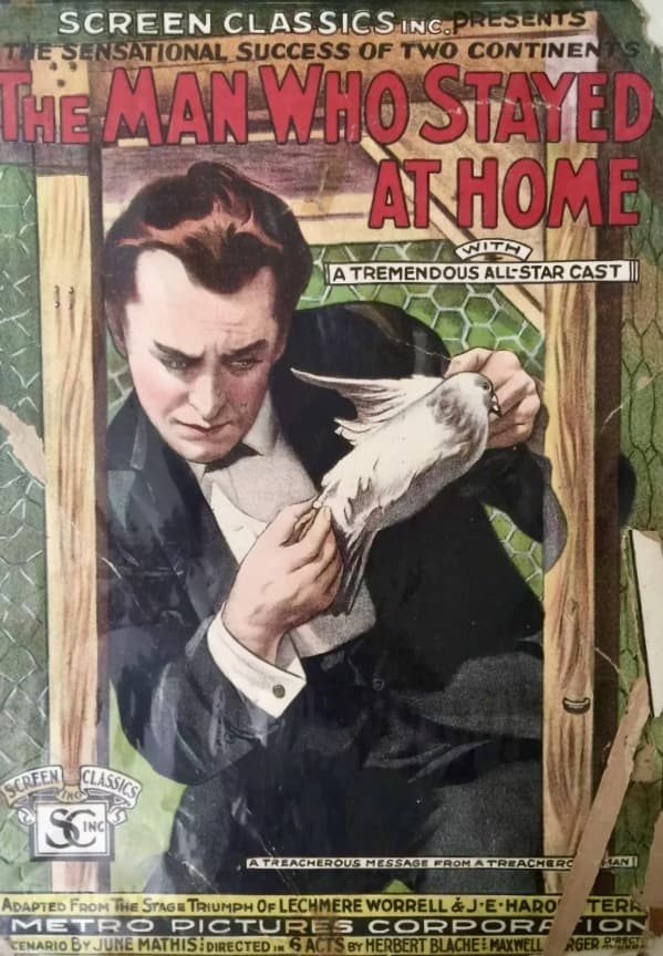 The Man Who Stayed at Home poster