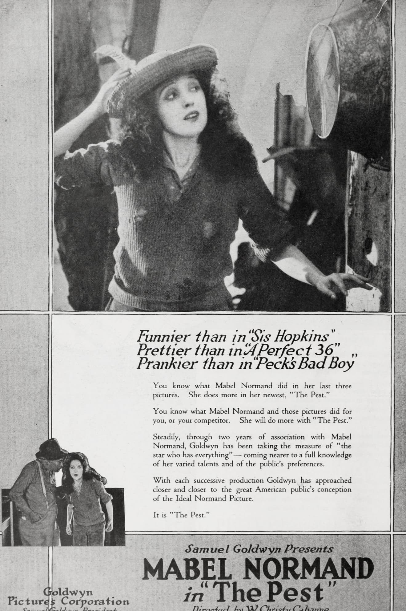 The Pest (1919) film backdrop