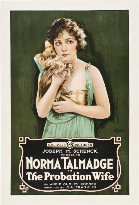 The Probation Wife (1919) film backdrop