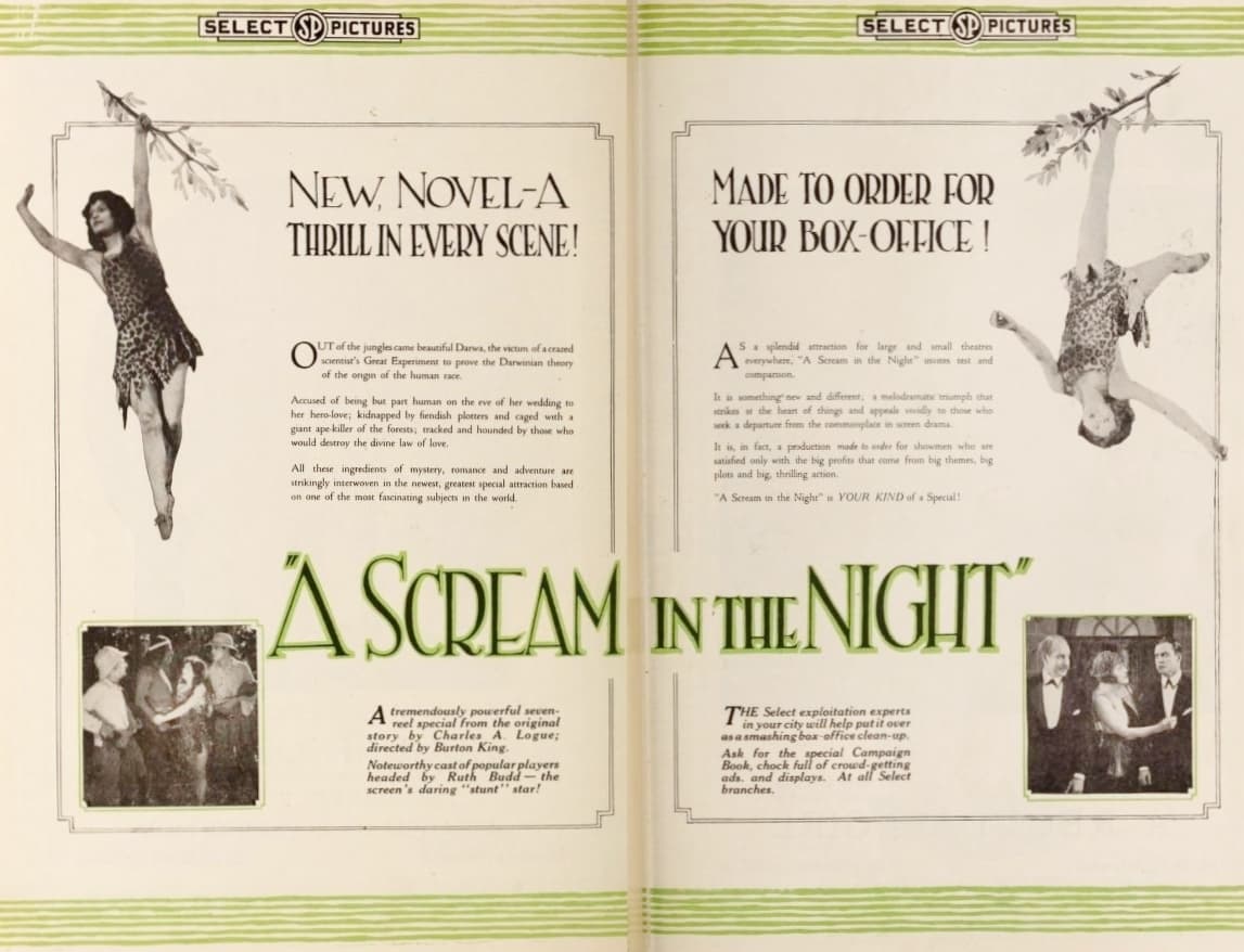 A Scream in the Night