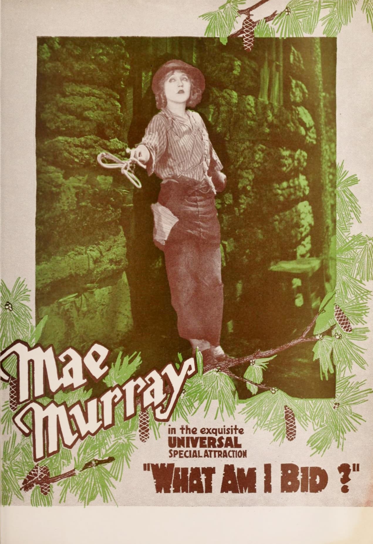 What Am I Bid? poster