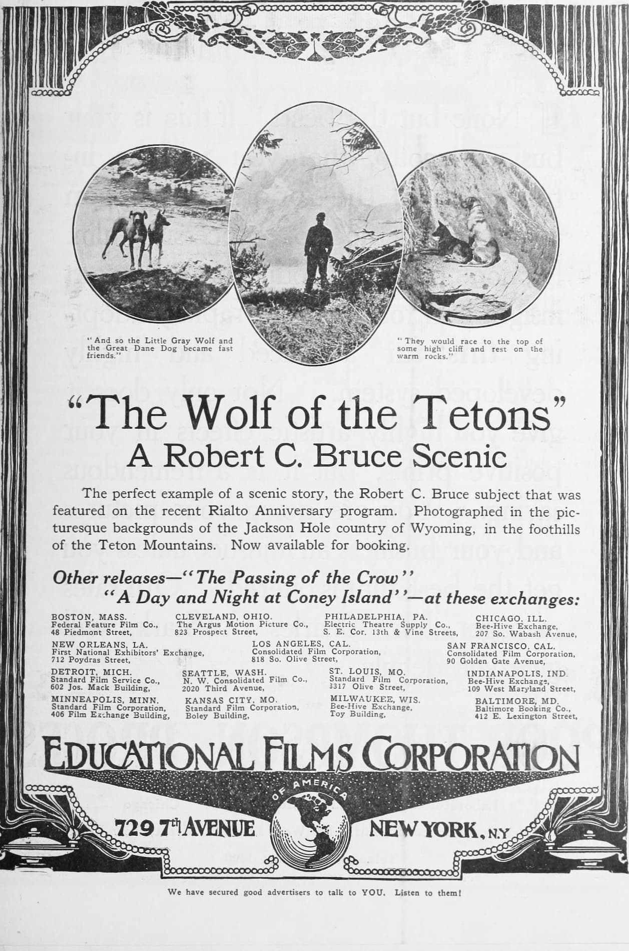 The Wolf of the Tetons (1919) film backdrop
