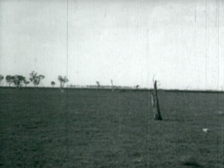 The Breaking of the Drought