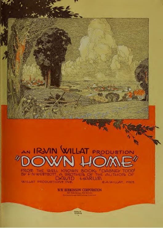 Down Home (1920) film backdrop