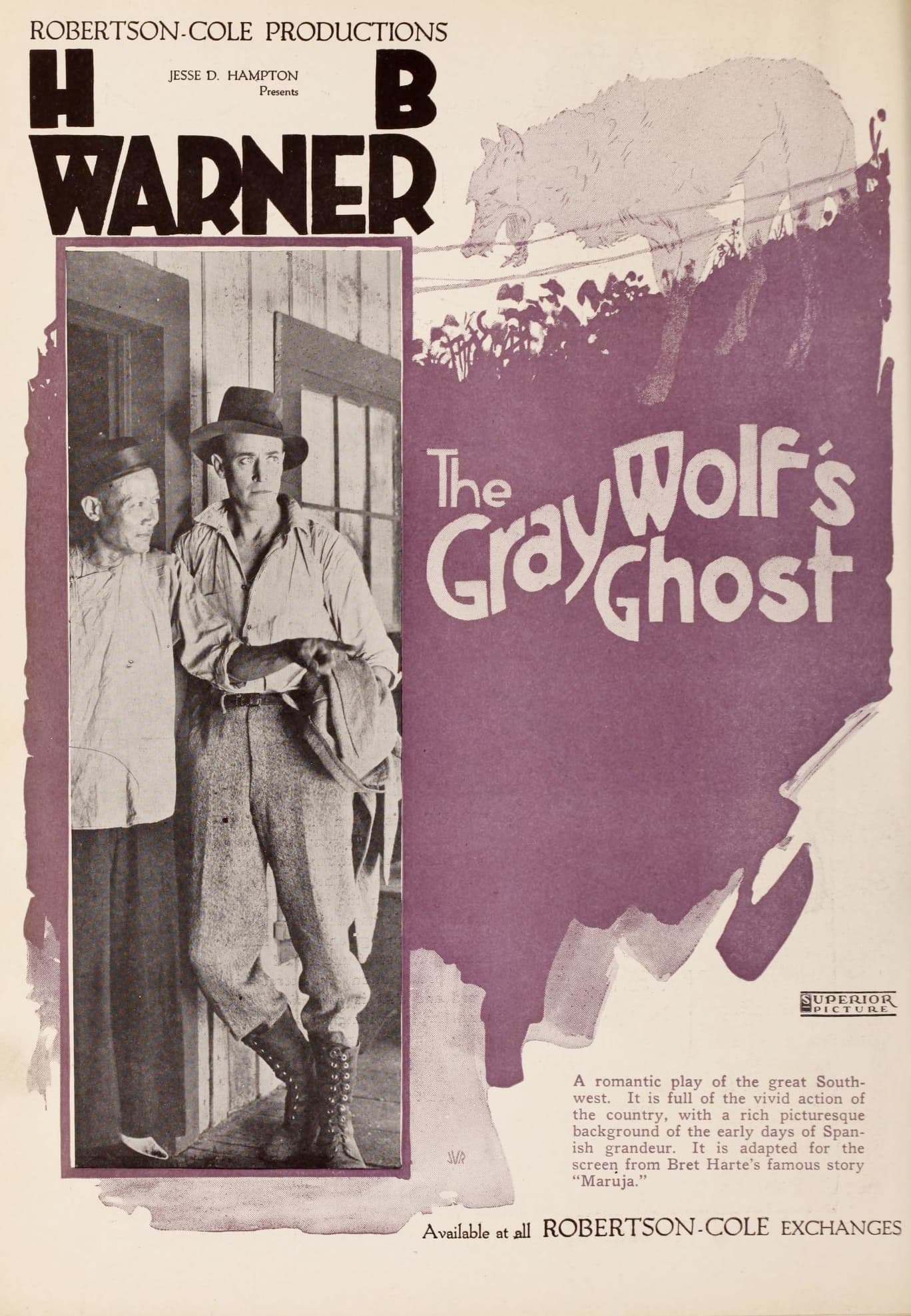 The Gray Wolf's Ghost poster