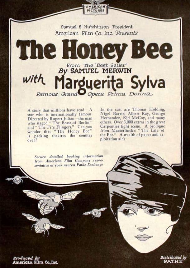 The Honey Bee (1920) film backdrop