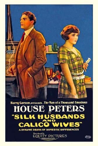Silk Husbands and Calico Wives (1920) film backdrop