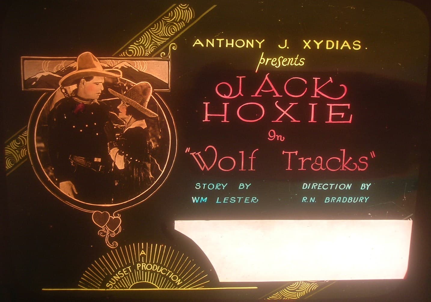 Wolf Tracks poster